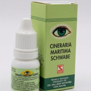 CINERARIA MARITIMA SCHWABE