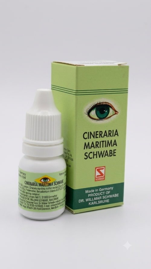 CINERARIA MARITIMA SCHWABE