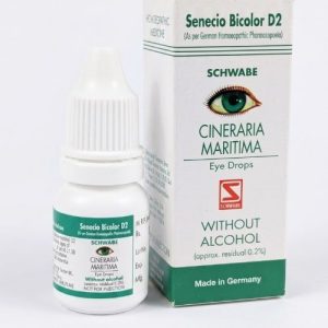 CINERARIA MARTIMA D2