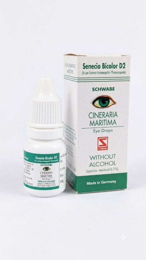 CINERARIA MARTIMA D2